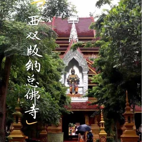西双版纳佛教圣地，心静一切随缘。