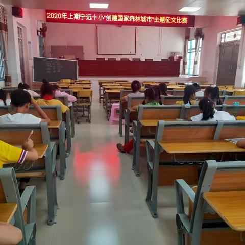 静待花开的美篇