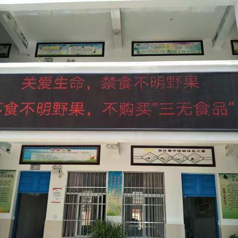 三家中心学校开展‘关爱生命，禁食不明野果’为主题的食品安全健康教育