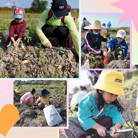 【兴隆幼儿园】“走进田地，收获喜悦”春游亲子活动💖