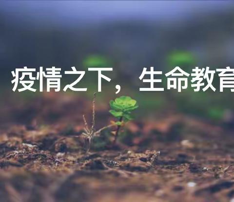 热爱生命，感激生命—湛江市第十八小学开展线上生命教育主题班会