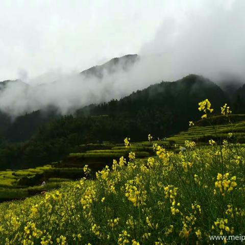 春来心驿动