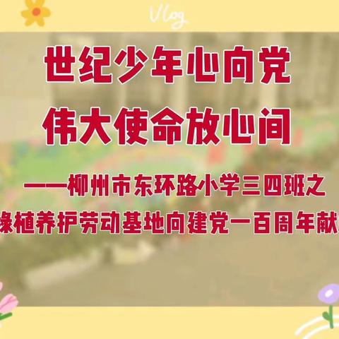 世纪少年心向党，伟大使命放心间——东环路小学三四班巧手环保护绿植，与花成长庆百年