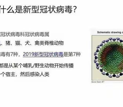 向阳花幼儿园小二班——新冠肺炎肺炎预防宣传