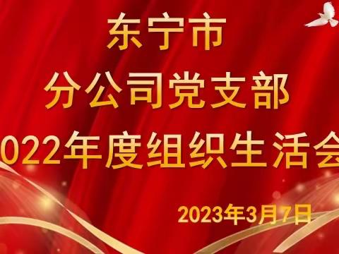 东宁分公司党支部2022年度组织生活会