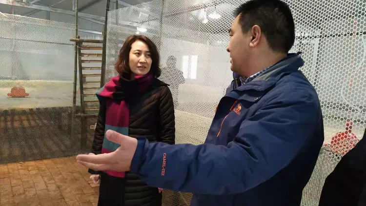 牛晨霞调研雪后群众生活和农业生产情况