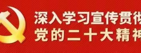 [学习二十大 奋进新征程]党的二十大精神学习专栏（二）