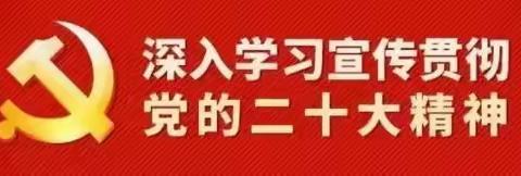 【学习二十大 奋进新征程】党的二十大精神学习专栏（三）