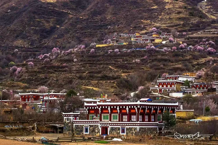 山背后的桃园~道孚麦粒山背面的村落