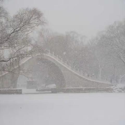 2022~颐和春雪