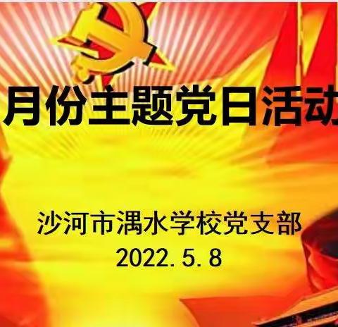 沙河市湡水学校党支部5月份主题党日活动