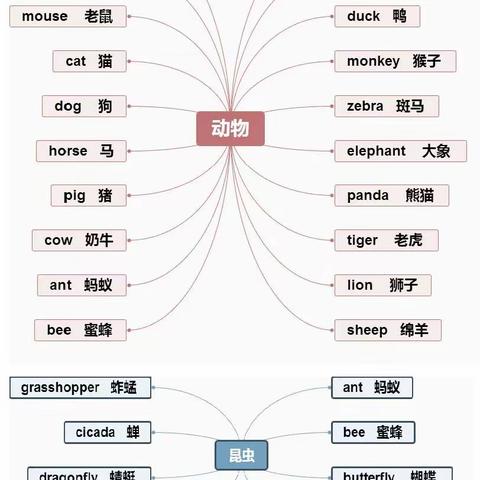 单词归类整理