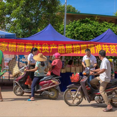 2020年杨家镇消费扶贫产品展销暨精准扶贫现场招聘会