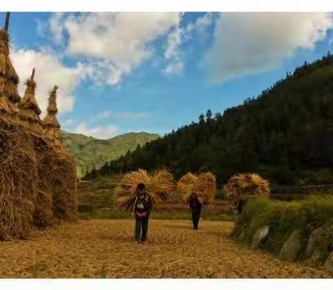 巜山水靖西 七彩云南》国庆自驾游之旅