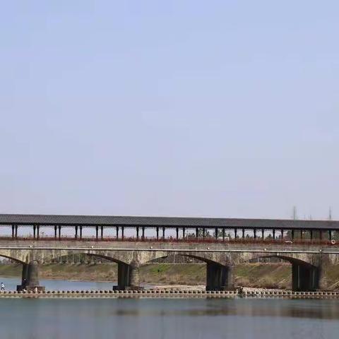 清清白沙溪，悠悠婺乡情：浙师大智多星中队白沙溪研学活动