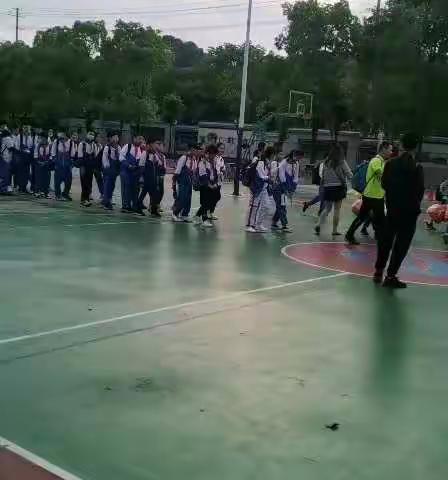 游千年学府，探索湖湘文化，启小111班研学旅行活动剪影