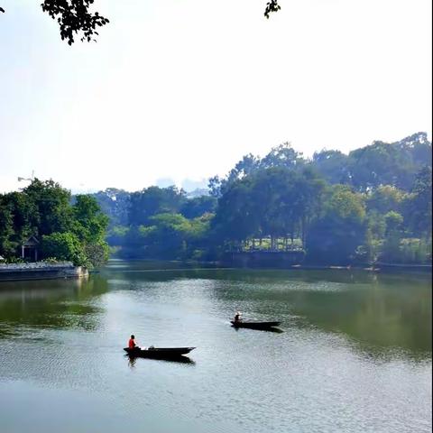 初冬如夏的广州麓湖公园