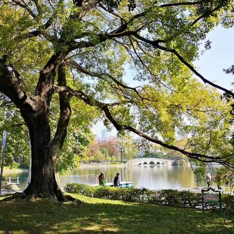 东山湖公园