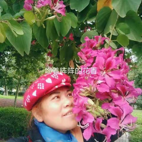 闲来看看