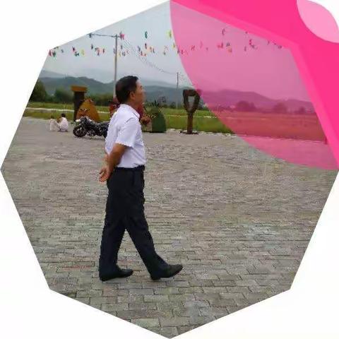 夏荷