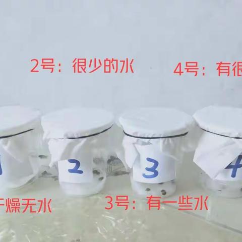让学生在社会实践中成长
