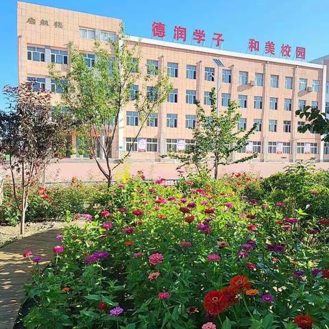 “疫”样开学，不一样的精彩——天山四中八年五班网课大集结