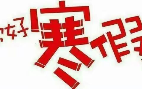 我的寒假我做主