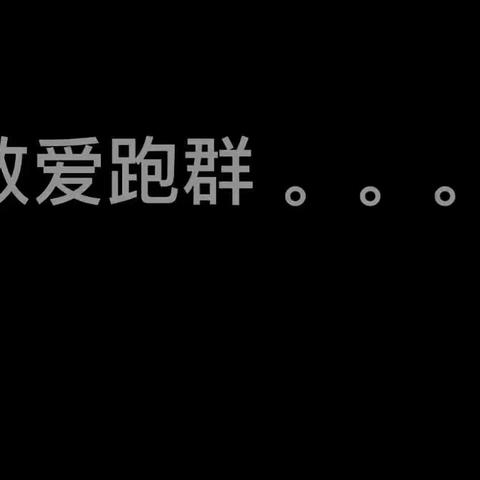 爱跑群2020年终音像集锦