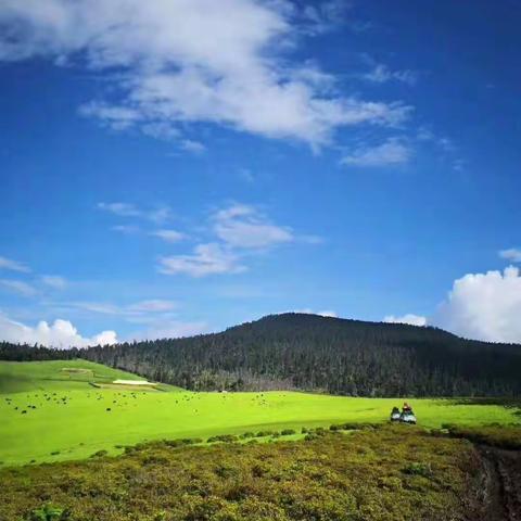 蓝蓝的天空，绿绿的田野，身处此情此景，好惬意的美好生活！