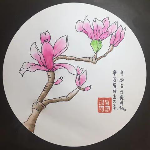 玉兰寻踪邀千树，片片花瓣作丹青—奎小四月玉兰花展采撷