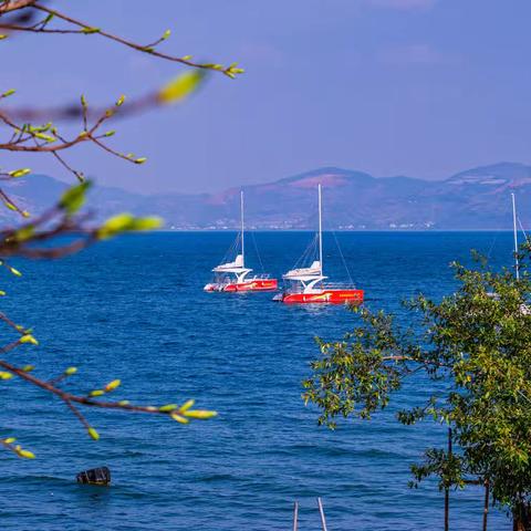 滇东南自驾：邂逅山水与春光的绮梦之旅