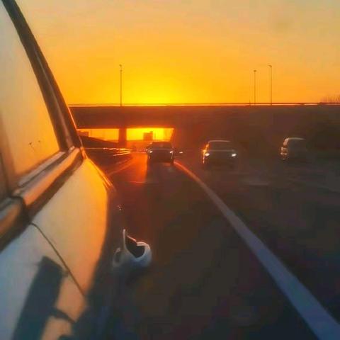 瑞蛇迎春行姑苏