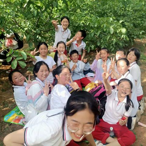 骄阳似火，童年如歌——记新密市金凤路小学校外实践活动