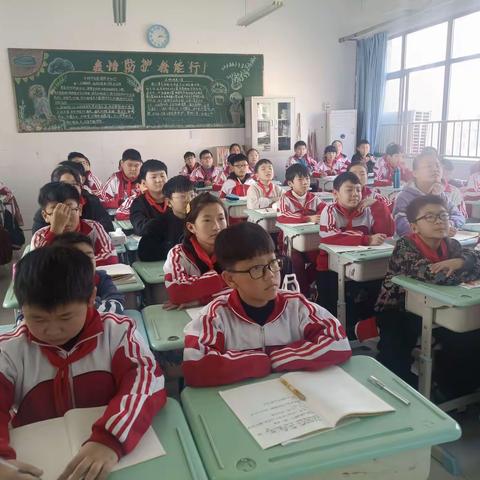 单元整体促成长，课堂改革话新篇——记金小六三班语文单元整体教学实践