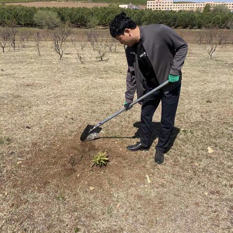 巴彦扎拉嘎乡干部义务植树 ﻿共建家乡绿水青山