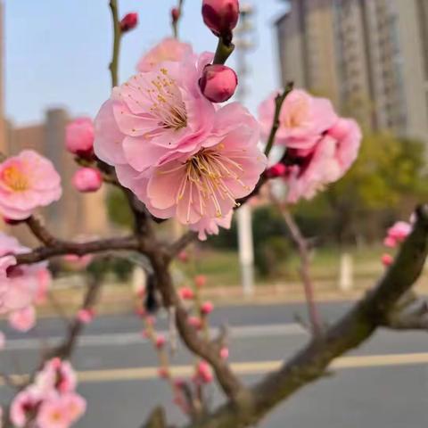 关于解决工程学院实训室的报告