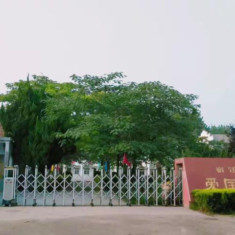 小荷才露尖尖角——奋进中的爱国希望小学