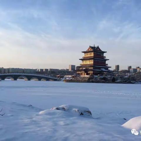 榆林：应对降雪降温天气 做好设施农业气象服务