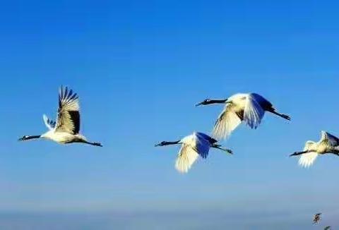 在学习中成长，在培训中提升