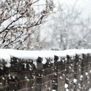 写给因大雪停课在家的孩子们