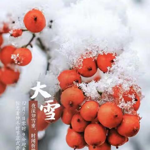 秋问秋雨秋曾凉，冬望冬雪冬期藏——大雪