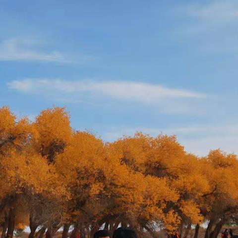 三千年的守望  只为等你