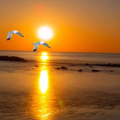 海上日出