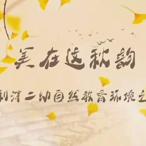 美在这秋韵——利津二幼自然教育环境之天井