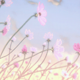 我们风雨同舟、携手同行，成为彼此流年里可爱的那群人。（副本）