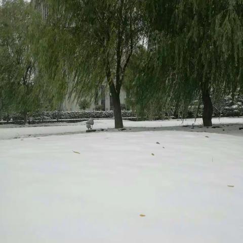 2016年11月22日小雪纪念