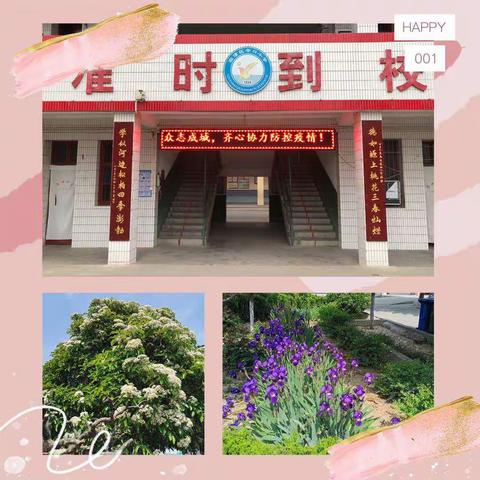 零口小学2020年招生简介——美好的世界为你开启