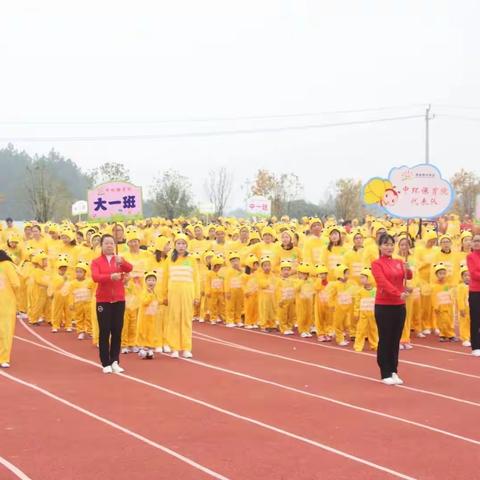 中环保育院巜森林运动会》