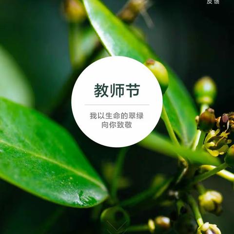 致敬盖老师的教师节🌹