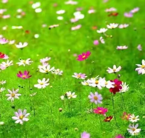 万物迎春光，教研促成长